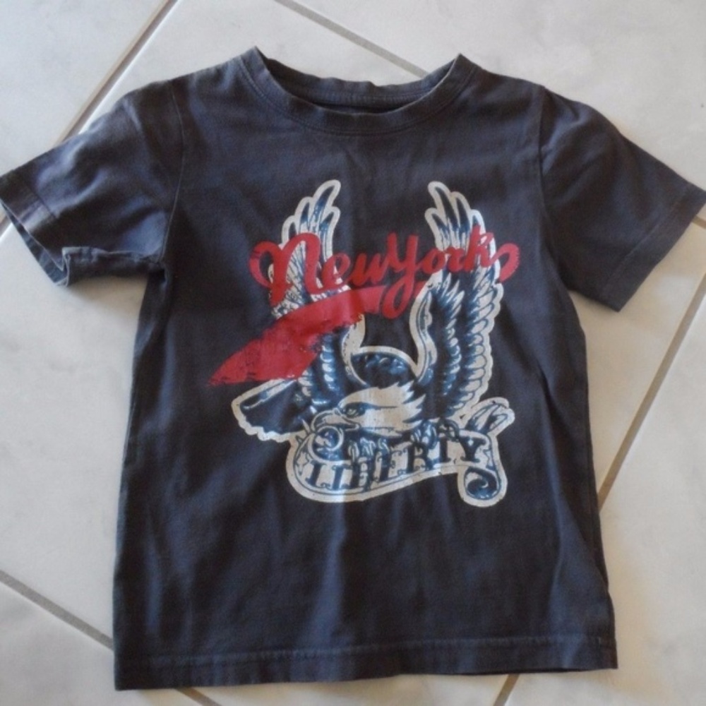 PUMPKIN PATCH VINTAGE New York Liberty Tee Boys 3T Girls NYC NY Patriotic - Picture 6 of 7